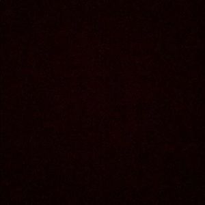 Meet your Posher, Josey